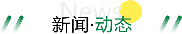 新闻·动态